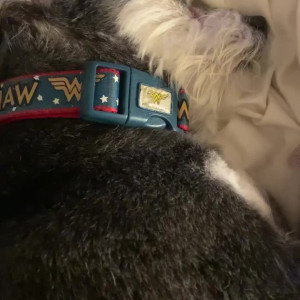 Video by christinacarter published on August 16,2023 13:03:00 - BestThots