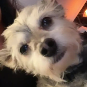 Video by christinacarter published on August 8,2023 16:39:00 - BestThots