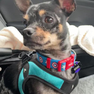 Video by christinacarter published on August 20,2023 18:32:00 - BestThots