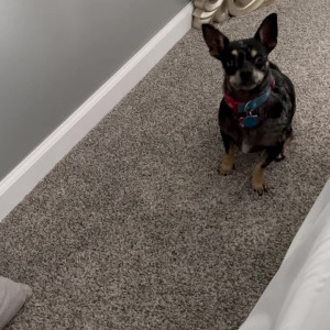 Video by christinacarter published on August 9,2023 07:20:00 - BestThots