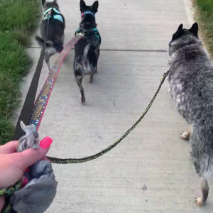 Video by christinacarter published on July 18,2023 22:03:00 - BestThots
