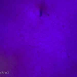 Video by christinacarter published on July 21,2023 03:03:00 - BestThots