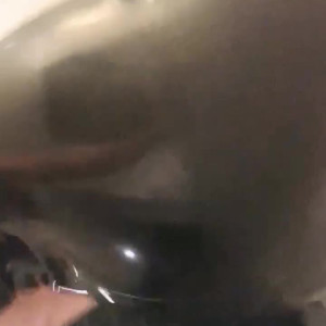 Video by christinacarter published on August 8,2023 01:39:00 - BestThots