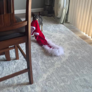 Video by christinacarter published on January 10,2024 12:05:08 - BestThots