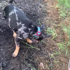 Video by christinacarter published on January 10,2024 12:05:07 - BestThots