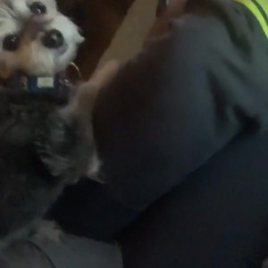 Video by christinacarter published on January 10,2024 12:20:10 - BestThots
