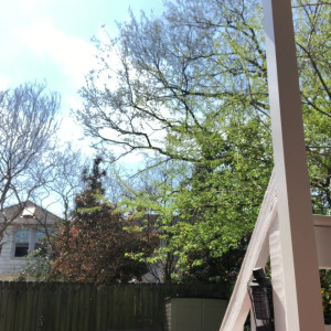 Video by tianastummy published on April 9,2023 22:45:00 - BestThots