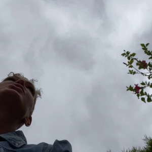 Video by kadenkole published on May 28,2023 06:31:00 - BestThots
