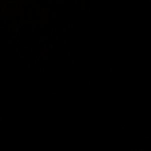 Video by socalunicorn published on July 27,2023 01:57:00 - BestThots