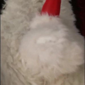 Video by cennyad published on March 18,2023 10:25:00 - BestThots