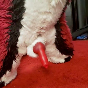 Video by cennyad published on March 10,2023 05:28:00 - BestThots