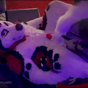 Video by cennyad published on March 13,2023 09:12:00 - BestThots