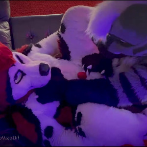 Video by cennyad published on April 16,2023 02:11:00 - BestThots