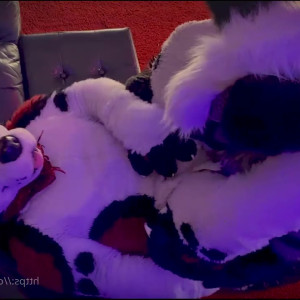 Video by cennyad published on March 9,2023 12:05:00 - BestThots