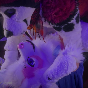 Video by cennyad published on March 21,2023 13:11:00 - BestThots