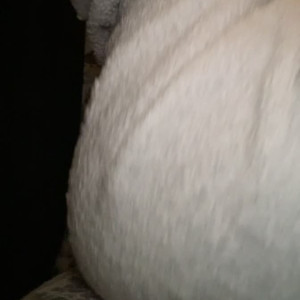 Video by kitsy-vixen published on August 24,2023 22:42:54 - BestThots