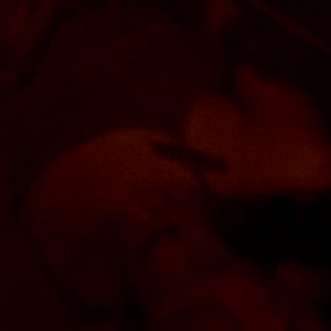 Video by gothjockof published on July 29,2023 13:00:00 - BestThots