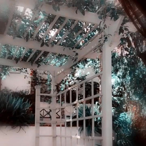 Video by hitomi_official published on July 2,2023 00:57:00 - BestThots