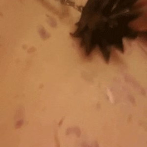 catscosplays #3979474