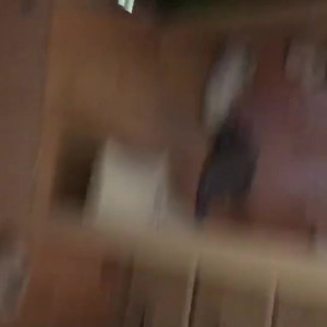 Video by comeseethefun published on March 2,2023 08:54:00 - BestThots