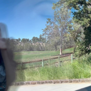 Video by ccflight published on August 25,2023 00:56:37 - BestThots