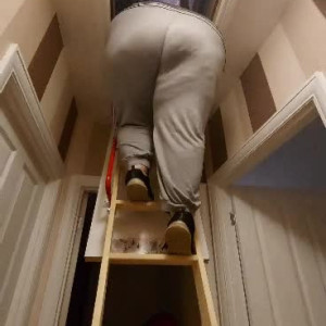 Video by cookie_bbw published on June 27,2023 07:33:00 - BestThots