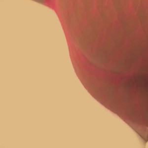 Video by belondina published on May 27,2023 23:57:00 - BestThots