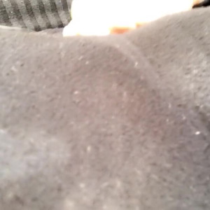 Video by belondina published on July 20,2023 00:51:00 - BestThots