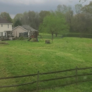 Video by mandymajors published on August 14,2023 03:25:00 - BestThots