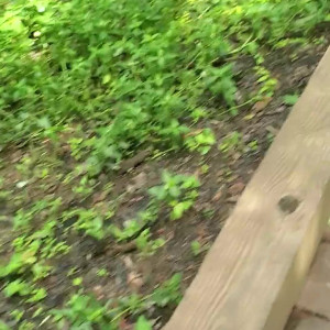 Video by mandymajors published on May 30,2023 16:39:00 - BestThots