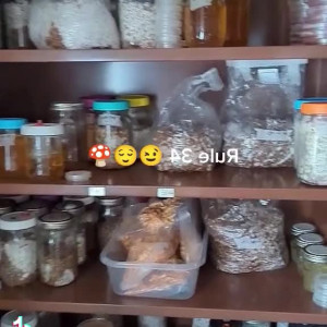 freesexypsychedelic #5125115