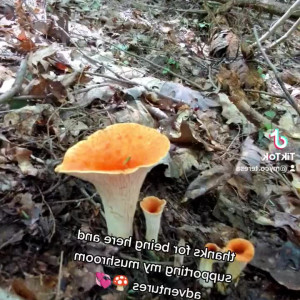 freesexypsychedelic #5180138