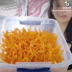 freesexypsychedelic #5280482