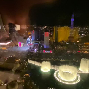 solodarling #3584277