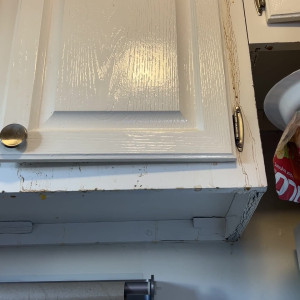 Video by solodarling published on August 25,2023 01:55:47 - BestThots