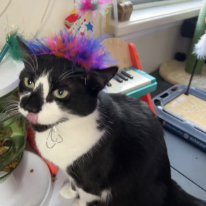 Video by solodarling published on August 25,2023 01:15:58 - BestThots