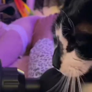 Video by solodarling published on August 25,2023 01:25:15 - BestThots