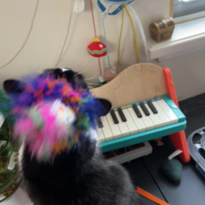 Video by solodarling published on August 25,2023 01:34:03 - BestThots