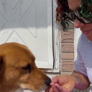 Video by solodarling published on August 25,2023 01:20:07 - BestThots