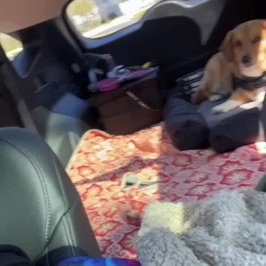 Video by solodarling published on August 25,2023 01:35:33 - BestThots