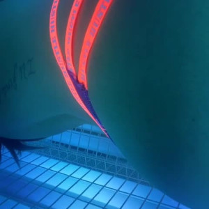 Video by kaay_ks9 published on June 29,2023 07:43:00 - BestThots