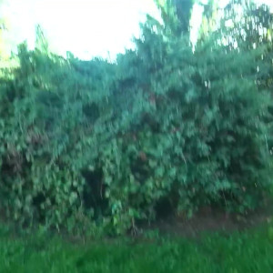Video by stop_hammerzeit published on March 24,2023 20:14:00 - BestThots