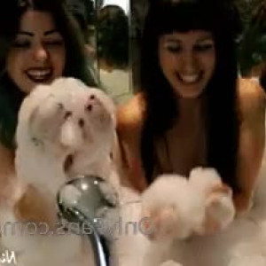Video by foxsea published on March 29,2023 00:33:00 - BestThots