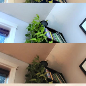 Video by foxsea published on July 21,2023 12:10:00 - BestThots