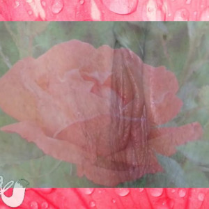 Video by foxsea published on June 6,2023 17:48:00 - BestThots