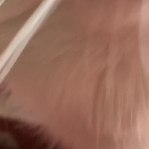 Video by foxsea published on August 2,2023 19:44:00 - BestThots