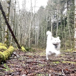 Video by foxsea published on April 29,2023 22:19:00 - BestThots