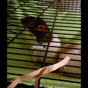 Video by xfaeryprincessx published on May 2,2023 10:53:00 - BestThots