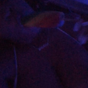 Video by nwonknu published on March 16,2023 02:02:00 - BestThots