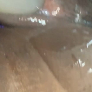 Video by nwonknu published on April 3,2023 08:32:00 - BestThots